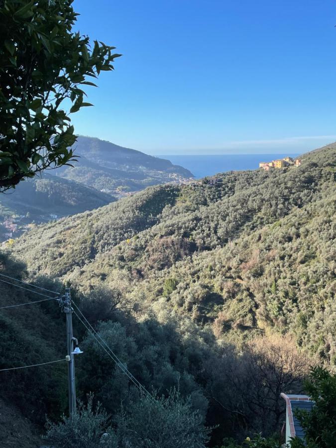 Le Case Di Petra Vignana Bagian luar foto
