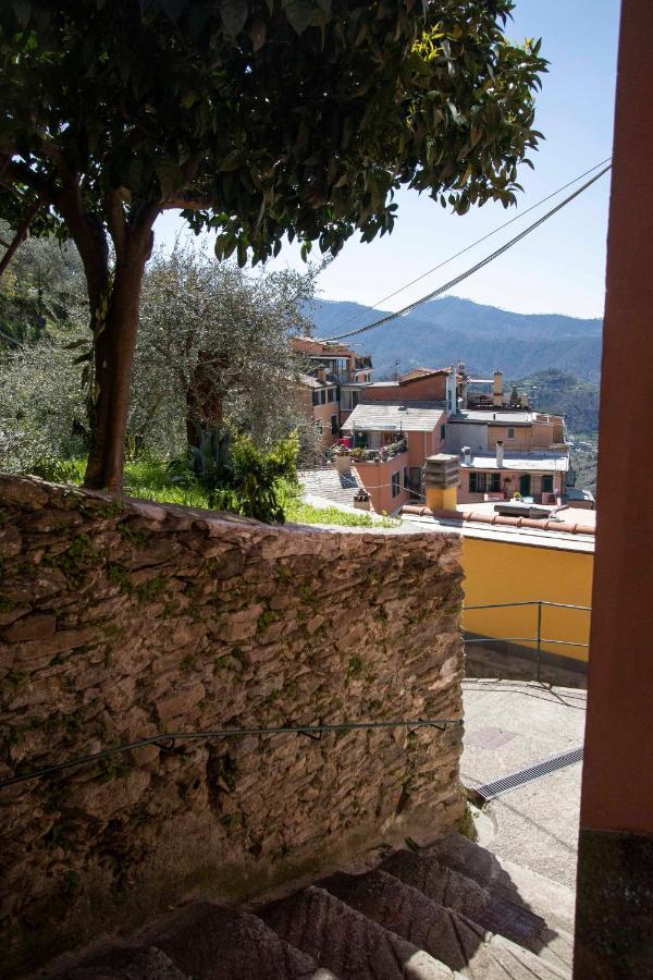 Le Case Di Petra Vignana Bagian luar foto