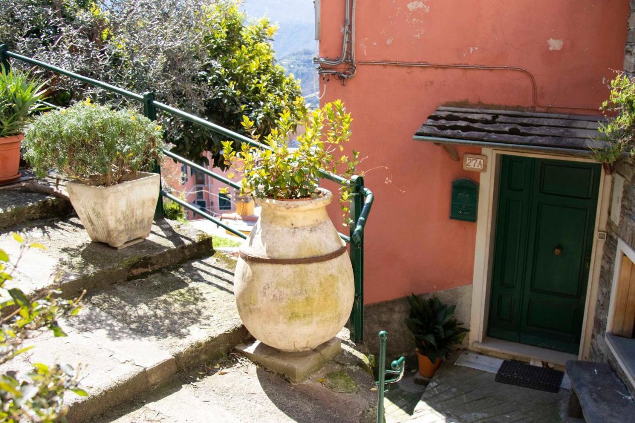 Le Case Di Petra Vignana Bagian luar foto